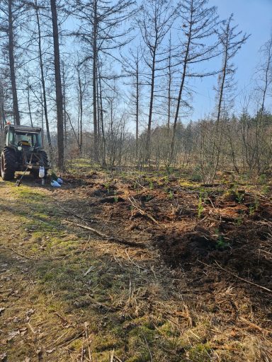 Woelen en bomen planten in Schaarsbergen